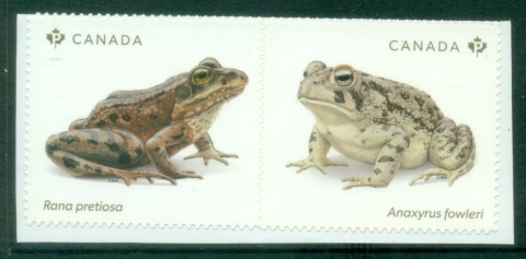 Canada-2024-Endangered-Frogs-PS-pair-MUH