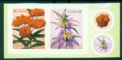 Canada-2024-Wildflowers-MUH