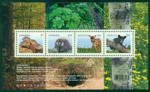 Canada-2013-Juvenile-Wildlife-MS-MUH