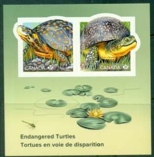 Canada-2019-Endangered-Turtles-MS-MUH