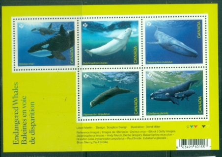 Canada-2022-Marine-Life-Endangered-Whales-MS-MUH