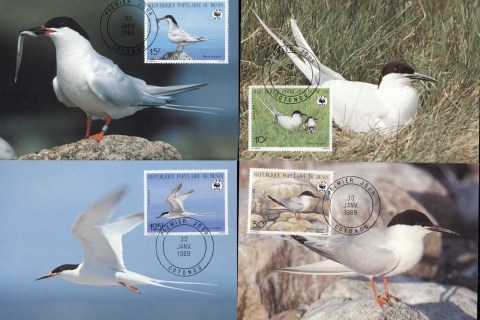 Benin 1989 WWF Roseate tern 4xMaxicard
