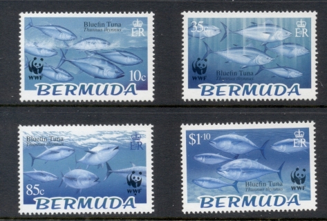 Bermuda-2004-WWF-Bluefin-Tuna-MUH