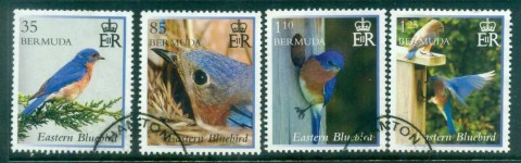 Bermuda-2014-Birds-FU-lot81794