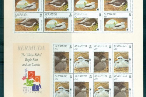 Bermuda-2001-WWF-Birds