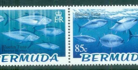 Bermuda-2004 WWF Atlantic Bluefin Tuna