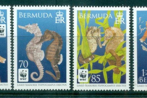 Bermuda-2010 WWF Lined Seahorse