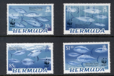Bermuda-2004-WWF-Bluefin-Tuna-MUH