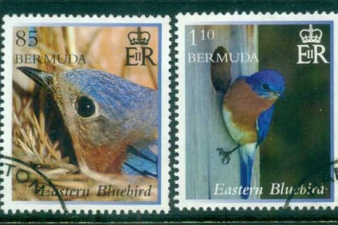 Bermuda-2014-Birds-FU-lot81794