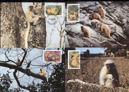 Bhutan-1984 WWF Golden Langur 4xMaxicards