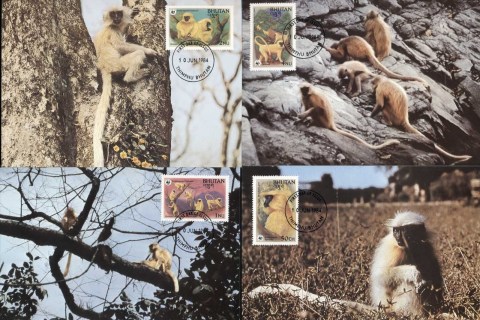 Bhutan-1984 WWF Golden Langur 4xMaxicards