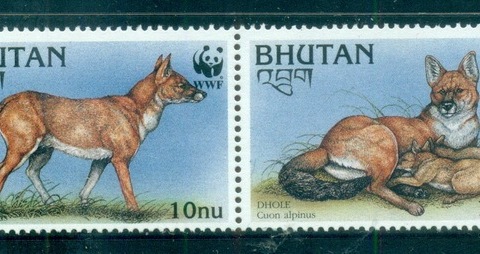 Bhutan-1997 WWF Dhole