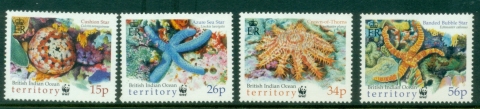 BIOT-2001-WWF-Starfish-MUH