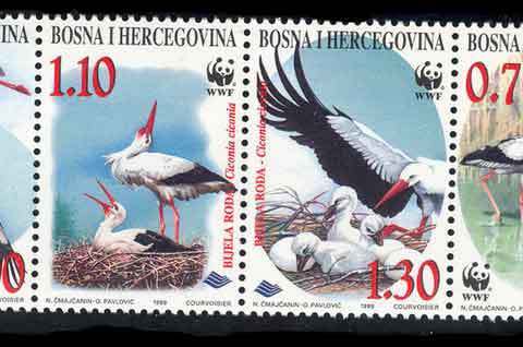 Bosnia-Herzegovina-1998 WWF White Stork
