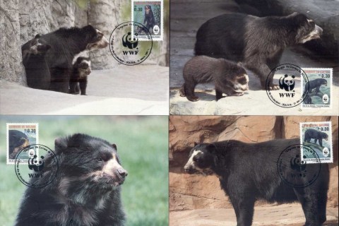 Bolivia 1991 WWF Spectacled Bear Maxicards