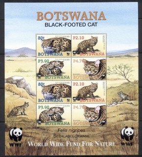 Botswana-2005 WWF Black Footed cat MS