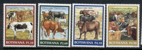 Botswana-2006-Tswana-Cattle-MUH