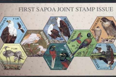 Botswana-2004-Birds-MS-MUH