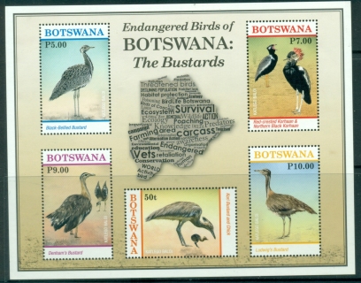 Botswana-2017-Endangered-Birds-MS-MUH