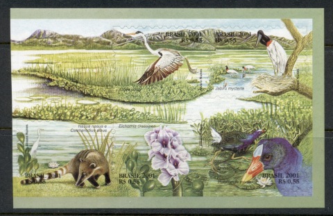 Brazil-2001-Pantanal-Flora-blk5-PS-MUH