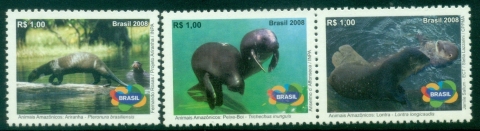 Brazil-2008-Endangered-Amazonian-animals-Peixe-Boi-Airanha-and-Lontra-MUH