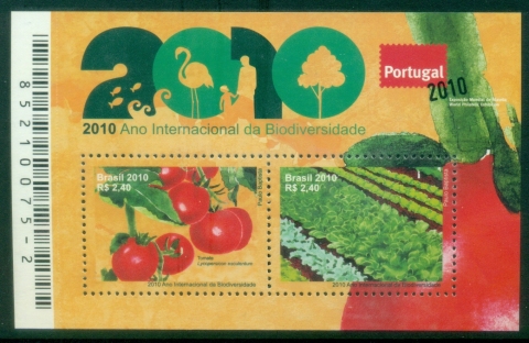Brazil-2010-International-Year-of-Biodiversity-Agroecology-and-Organic-Farming-MS-Muh