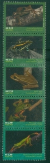 Brazil-2021-Fauna-Frog-Species-of-Brazil-MUH