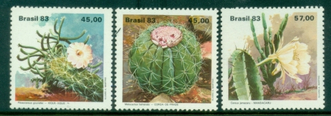 Brazil-1983-Cacti-MLH