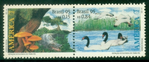 Brazil-1995-America-Environmental-Protection-MUH