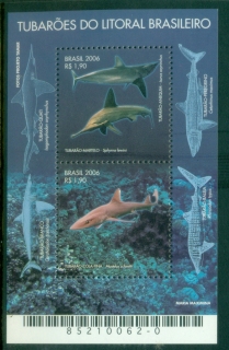 Brazil-2006-Sharks-from-Brazilian-Coast-MS-Muh