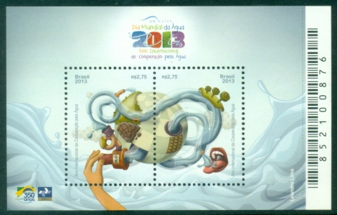 Brazil-2013-World-Water-Day-MS-Muh