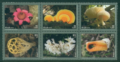 Brazil-2019-MERCOSUL-Issue-Environment-Diversity-of-Fungi-MUH