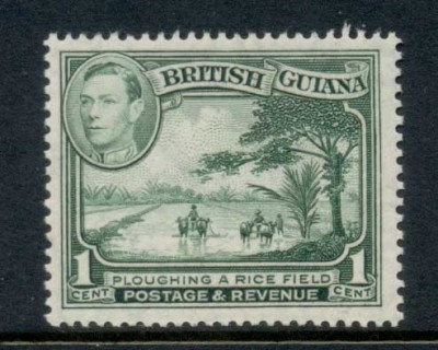 British-Guiana-1938-52-KGVI-Pictorial-1c-Perf-14x13-MUH