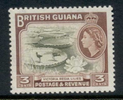 British-Guiana-1954-QEII-Pictorial-3c-MUH