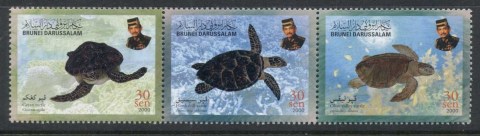 Brunei-2000-Marine-Life-Turtles-str3-MUH