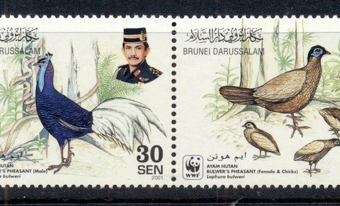 Brunei-2001-WWF-Bulners-Pheasant