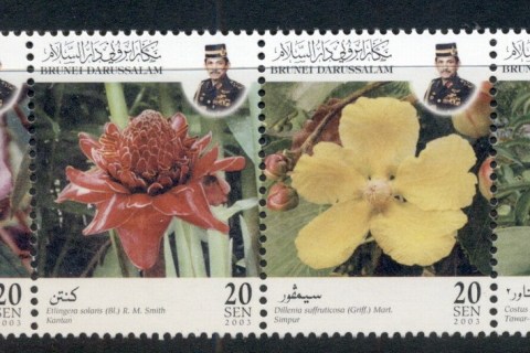 Brunei-2003-Medicinal-Plants-str4-MUH