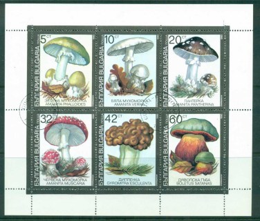 Bulgaria-1991-Funghi