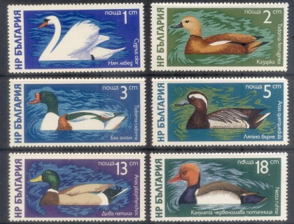 Bulgaria-1976-Water-Birds-MUH