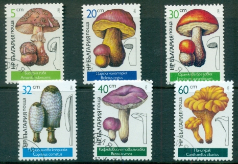 Bulgaria-1987-Funghi-2