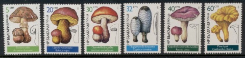 Bulgaria-1987-Funghi