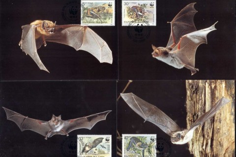 Bulgaria 1989 WWF Bats 4xMaxicard