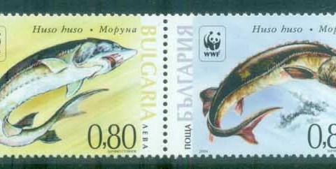 Bulgaria 2004 WWF Giant Sturgeon