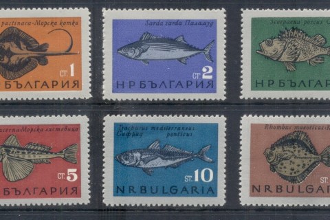 Bulgaria-1965-Black-Sea-Fishes-MLH