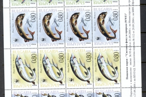 Bulgaria-2004-Sturgeon-Fish-sheetlet-MUH