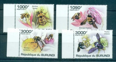 Burundi-2011-Insects