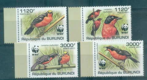 Burundi-2011-Bird