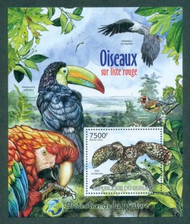 Burundi-2012-Birds