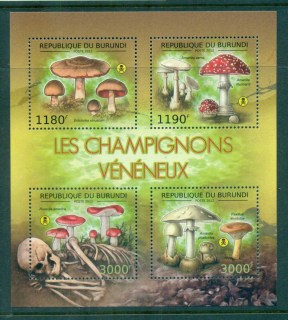 Burundi-2012-Funghi_1