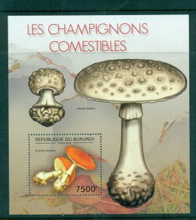 Burundi-2012-Funghi_4